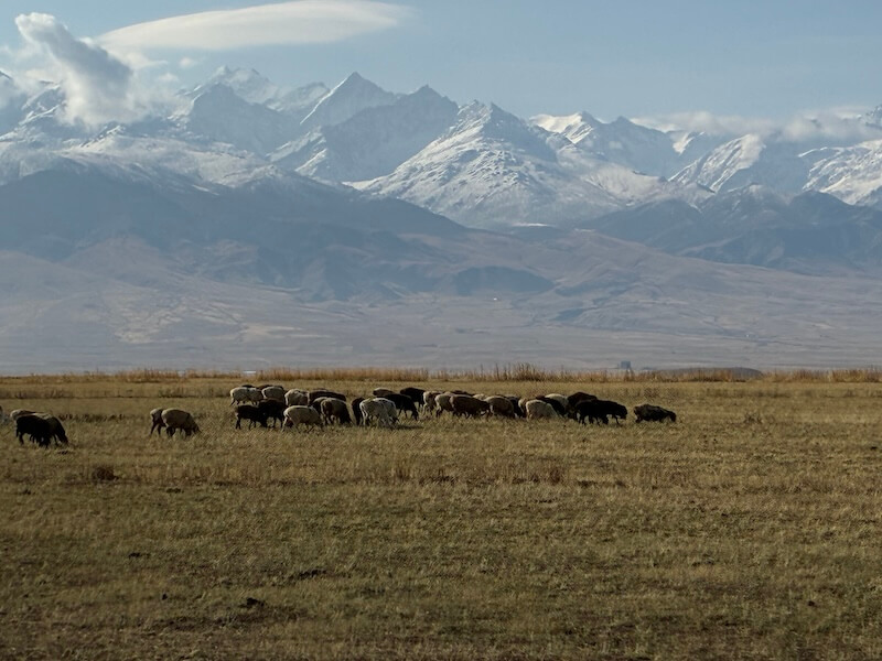 秋のキルギス
